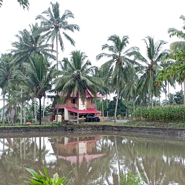 Pondok Pesantren Tahfizh Daarul Qur'an Ayyastiyyah Bolmong Raya yang ada di Kota Kotamobagu